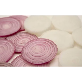 Onion (5)-4263125-99457.webp